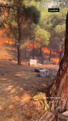 Çanakkale'de orman yangını