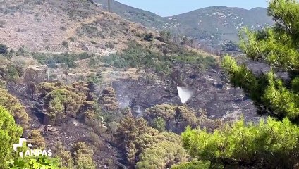 Incendio dell'Elba, ecco come operano le squadre dell'Anpas: la lotta contro le fiamme