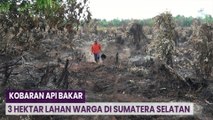 Kobaran Api Bakar 3 Hektar Lahan Warga di Sumatera Selatan