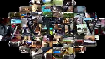 Funny Animals Compilation February 2016 - Funny Animal Videos 2016 - Funny Animals