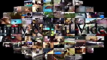 BEST ANIMAL FAILS - Ultimate Animal Fails Compilation 2016 - Animal Fail Videos