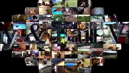 Funny Cats Compilation April 2016 - Funny Cats 2016 - Funny Cat Videos