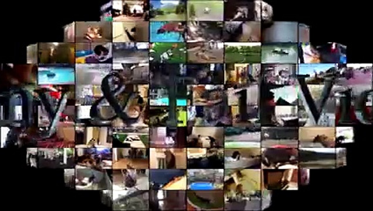 Funny Cats And Dogs That Hate Their Outfits - Funny Pets 2017