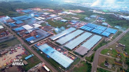 Made In Africa : la révolution du bois au Gabon (reportage)