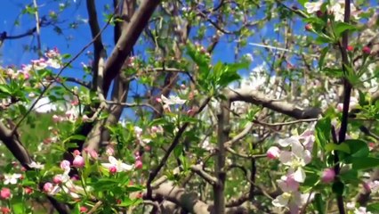 Beautiful Debates of Pakistan 🇵🇰: A Fascinating Journey Through History and Life