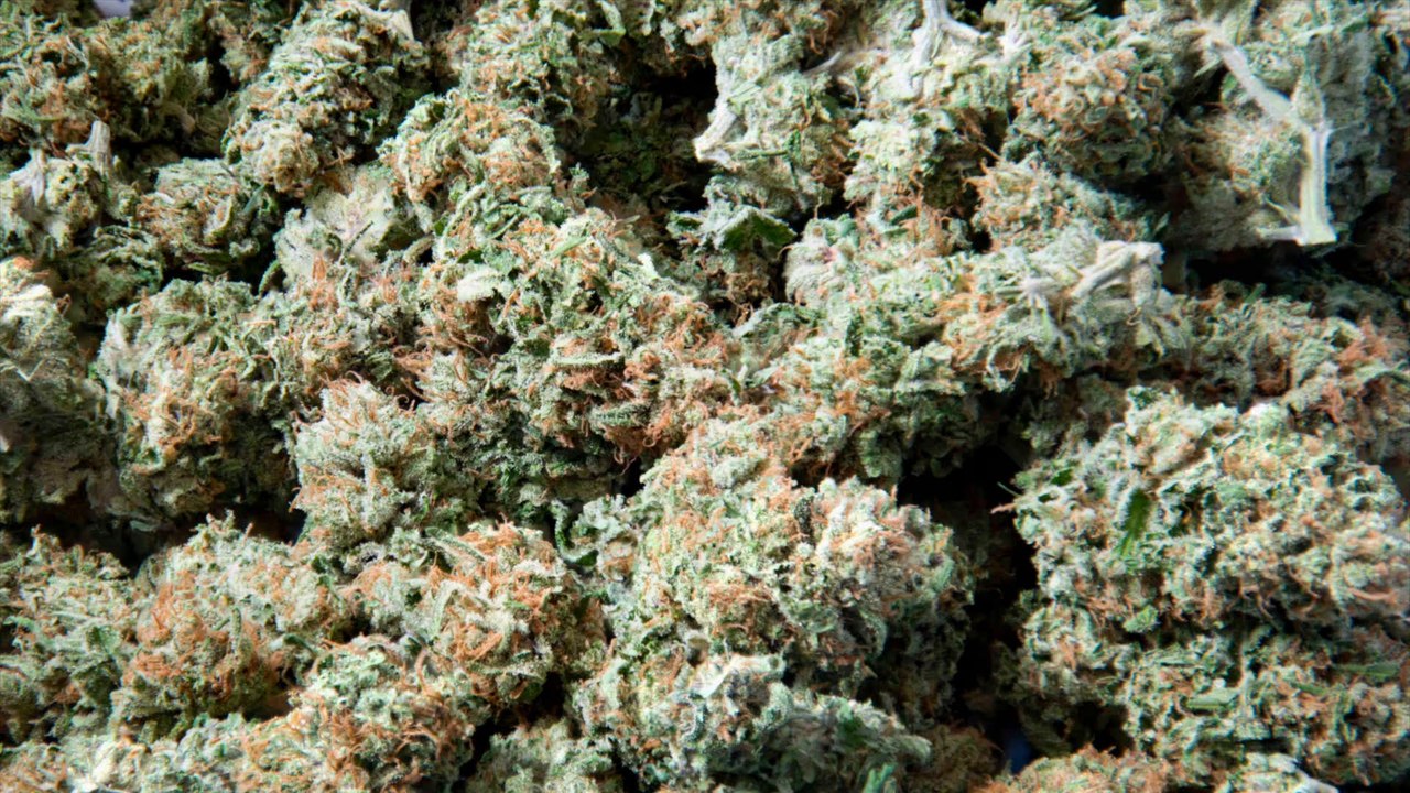 Zürich ermöglicht legalen Cannabisverkauf