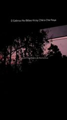 Mi Amor  - Shran Love Song  Trending Instagram Reels Song