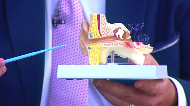 bd-problemas-frecuentes-en-oidos-220823