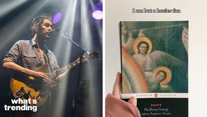 Hozier's Latest Album 'Unreal Unearth' Praised by Book Lovers on TikTok