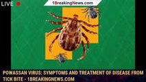 Powassan virus: Symptoms and treatment of disease from tick bite - 1breakingnews.com