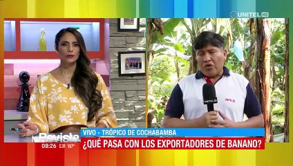 Exportación de banano del Trópico en riesgo por bloqueos y devaluación del peso argentino