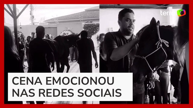 Criança morre após cair de égua e animal é levado pela família ao funeral para se despedir