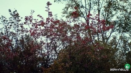In sala "La bella estate", da Pavese l'amore oltre le convenzioni