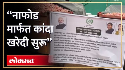 शेतकऱ्यांना दिलासा देण्यासाठी नाफेड मार्फत कांदा खरेदी सुरू पिंपळगाव बाजार समितीमध्ये खरेदीला सुरुवात