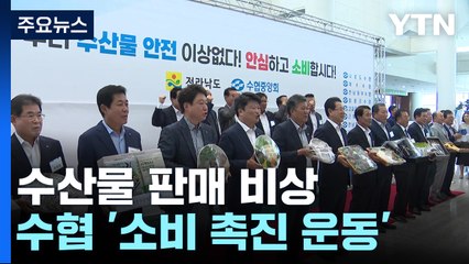 소비 '급락', 값은 '폭락'..."안전한 수산물 안심하고 드세요!" / YTN