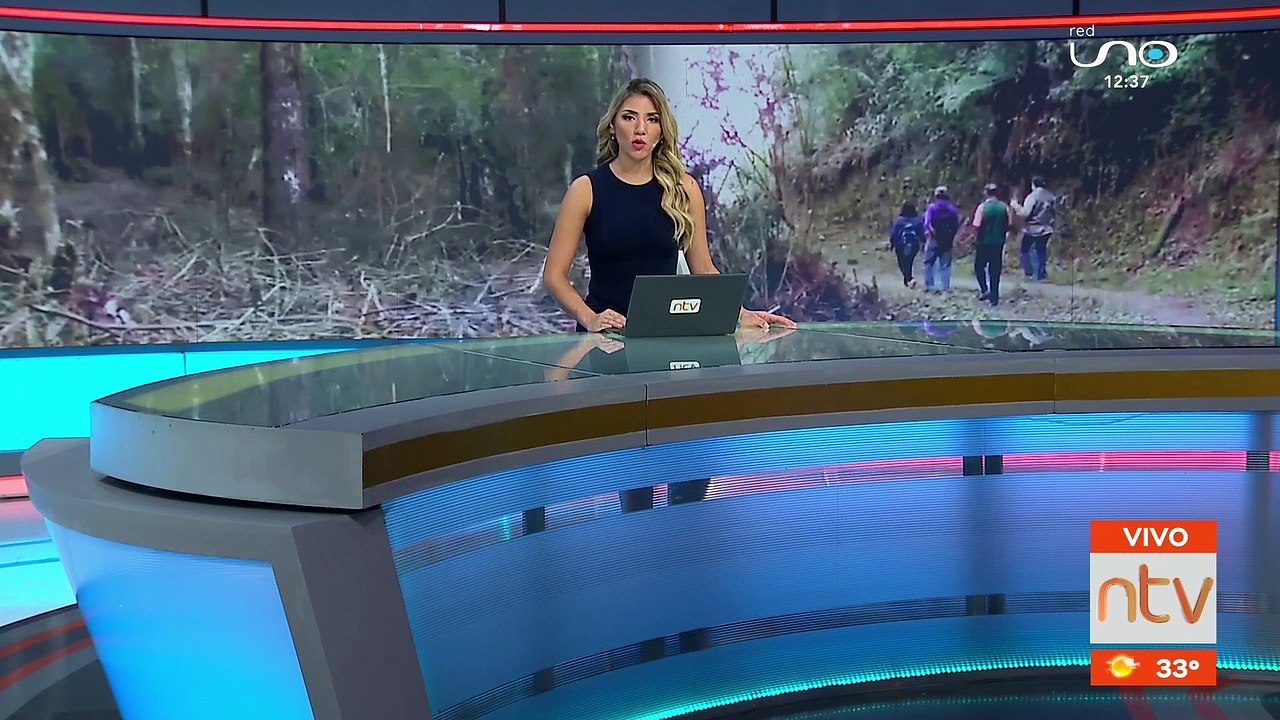 Denuncian desmonte de helechos gigantes en Sama...