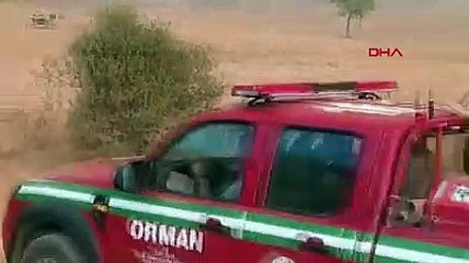 Bilecik'te çıkan orman yangını Bursa'ya sıçradı