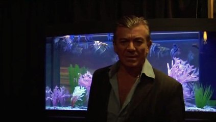 Ο ΓΙΟΣ ΤΟΥ ΤΣΑΡΛΥ - 2008 - DVDRip - 720x396