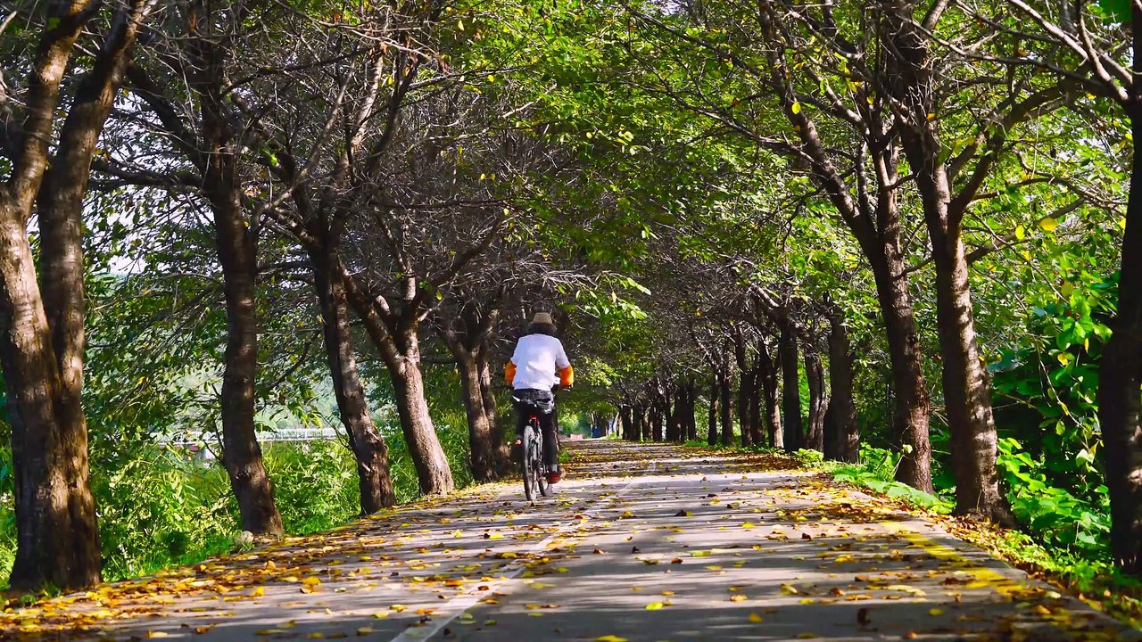 Movilidad sostenible en ciudades: Un enfoque hacia un futuro más limpio y eficiente