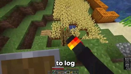 I Maxed Every Statistic in Minecraft