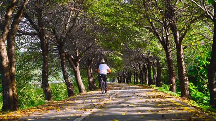 Infraestructura verde en ciudades: Un enfoque innovador para una convivencia armoniosa entre la naturaleza y el urbanismo