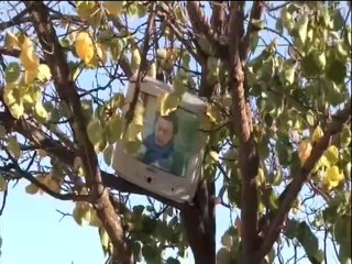 ΕΡΗΜΟΣ ΚΑΙ ΜΟΝΟΣ ΓΙΑ ΝΑ ΜΟΥ ΦΥΓΕΙ Ο ΠΟΝΟΣ - 2006 - DVDRip - 720x540