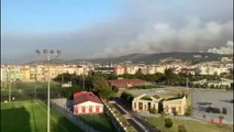 Ciel couvert de fumée à cause d'un incendie de forêt à Çanakkale
