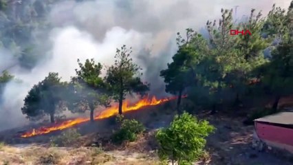 Un incendie se déclare dans la zone forestière près du château de Harşena à Amasya