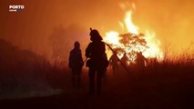 Pelo menos 26 corpos encontrados numa área incendiada na Grécia