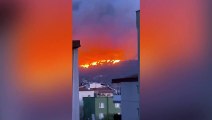 Les flammes de l'incendie de forêt à Çanakkale ont transformé la nuit en jour