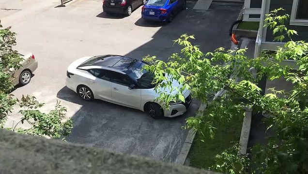 Un conducteur âgé essaie de se retourner