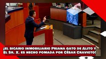 ¡VEAN! ¡el sicario inmobiliario Priana gato de Alito y El Sr. X. es hecho pomada por César Cravioto!