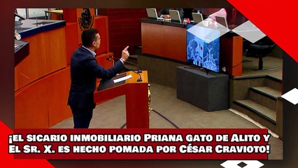 ¡VEAN! ¡el sicario inmobiliario Priana gato de Alito y El Sr. X. es hecho pomada por César Cravioto!