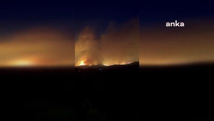 Çanakkale'de Orman Yangını: 4 Vatandaş Dumandan Etkilendi