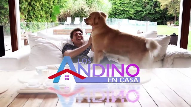 Caruso Lombardi: Me buscaron de varios partidos políticos, pero la política hace que la gente no te quiera después