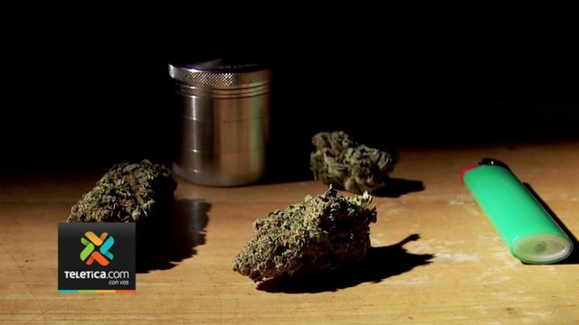 tn7-consumo-recreativo-220823