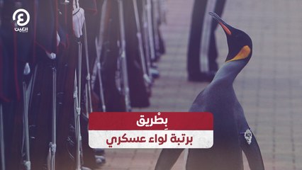 بِطْريق برتبة لواء عسكري