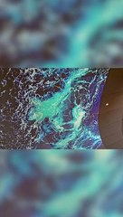 Dînez au milieu d'un fjord : Le restaurant flottant à 500€ le repas!