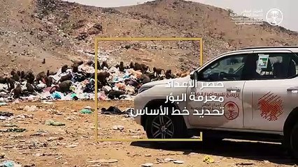 "الحياة الفطرية": مرحلة دراسة مشكلة تزايد أعداد قرود البابون انتهت