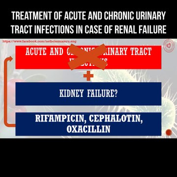 Treatment of acute and chronic urinary tract infections in case of renal failure