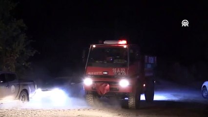 Bilecik ve Bursa'dan yaklaşık 25 hektarlık alan yangının etkisi altında