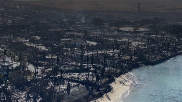 Investors Looking to Profit on Grief-Stricken Survivors of Maui Wildfires