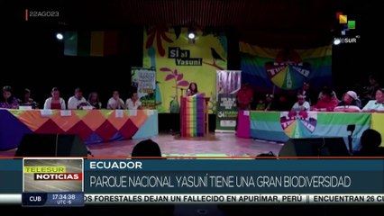 El 60% de los ecuatorianos votaron a favor de detener la explotación petrolera en el Yasuní