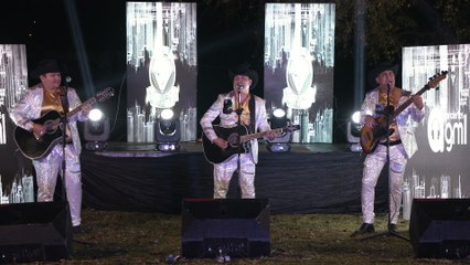Los Diamantes De Sinaloa - Tengo Ganas (En Vivo)