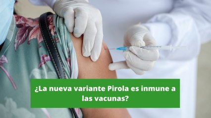 ¿La nueva variante de Covid-19, Pirola, es inmune a las vacunas?