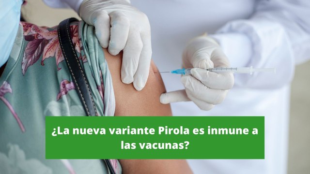 ¿La nueva variante de Covid-19, Pirola, es inmune a las vacunas?