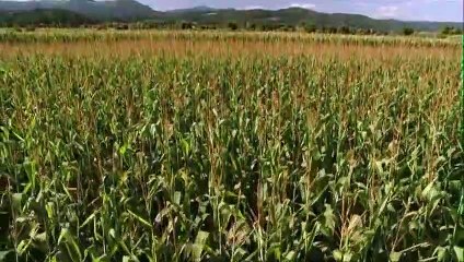 L'histoire du monde E01 Nos origines