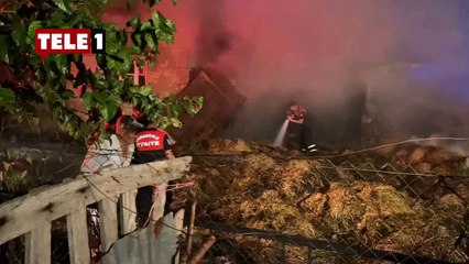 TELE1 Çanakkale'de: Alevlerin evlere sıçradığı Yağcılar Köyü'nde son durum