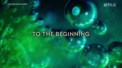 Life on Our Planet S01