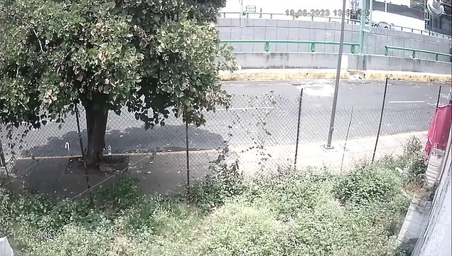 Pareja abandona a recién nacido dentro de una caja